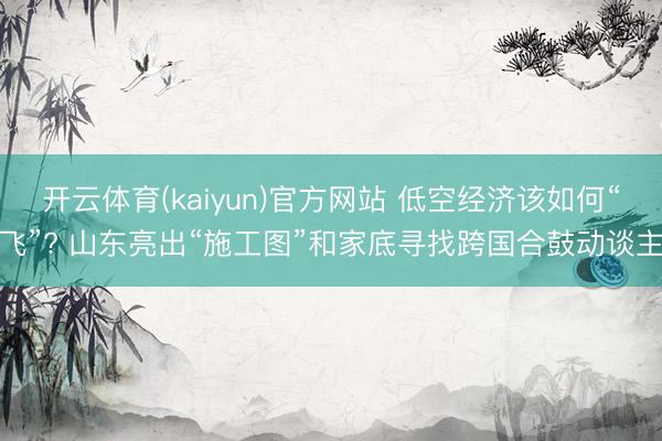 开云体育(kaiyun)官方网站 低空经济该如何“飞”? 山东亮出“施工图”和家底寻找跨国合鼓动谈主